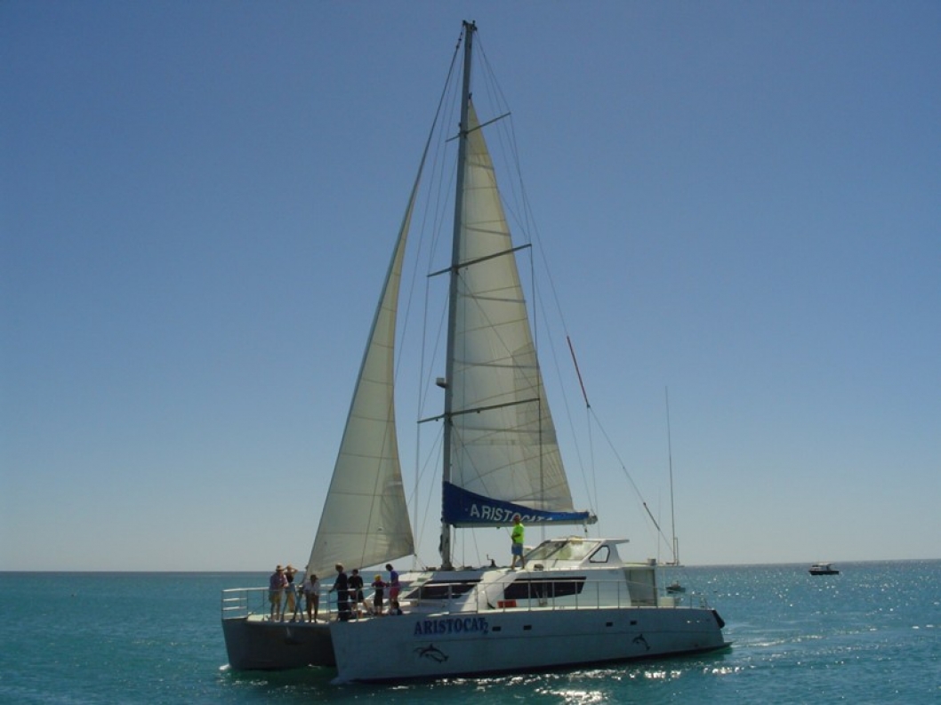 From the Monkey Mia jetty take a Shark Bay wildlife cruise