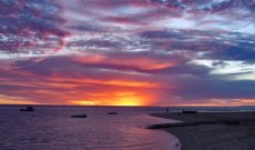 Monkey Mia Sunset